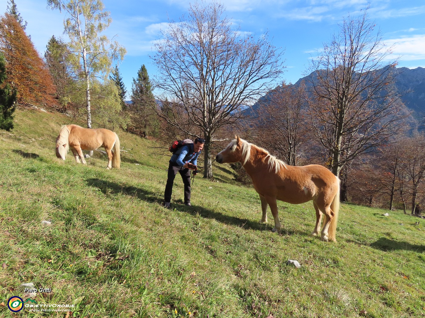 43 ...si lascia fotografare.JPG